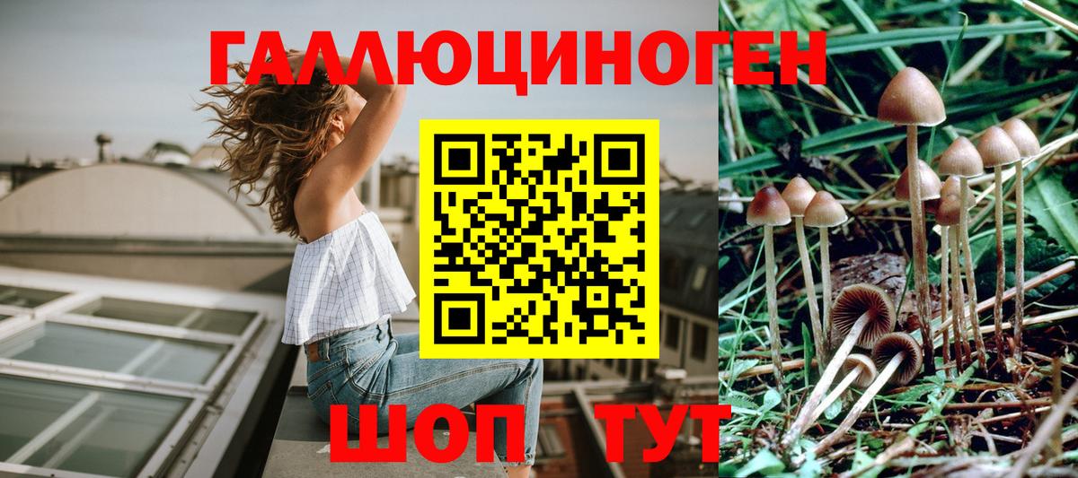 Тулун  Псилоцибиновые грибы мицелий  Вход с VPN  Галлюциногенные грибы MAGIC MUSHROOMS 